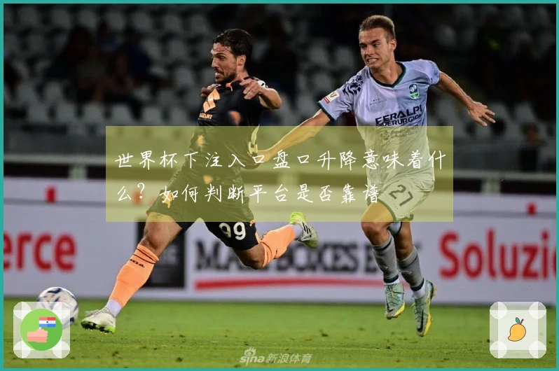 世界杯下注入口盘口升降意味着什么？如何判断平台是否靠谱