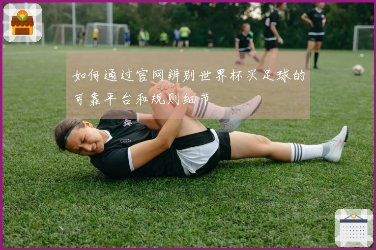 如何通过官网辨别世界杯买足球的可靠平台和规则细节